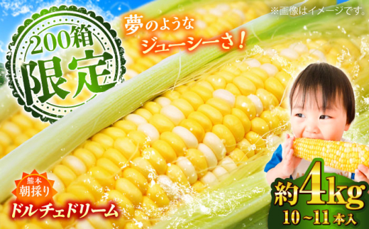 予約専用　とうもろこし(ドルチェドリーム)　4kg 2kg　熊本県産 とうもろこし(ドルチェドリーム) 4kg 熊本県産