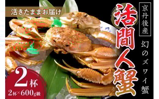 最大15%OFFクーポン 幻のズワイ蟹】 京丹後産 活間人蟹（中） 鮮度抜群、活きたまま ウェア