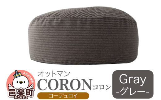 yQnWyzR R[fBC GRY r[YNbV CO-5524D
