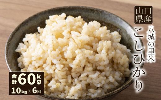 yR֎szys\zy 6zЂ  10kg v60kg