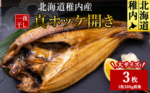 ykCtsztY^zbPJ銱3Zbg