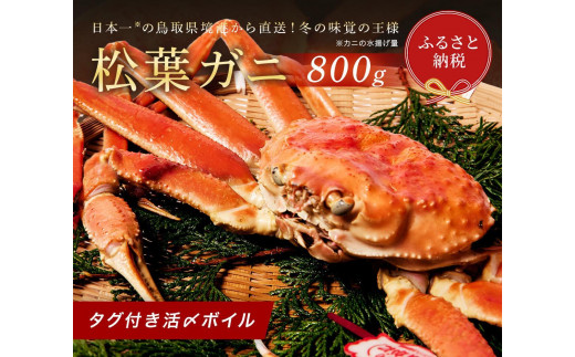 y挧Ozys\ 11zyIZuz^OtY{CEtɁiE800OjbY 󂠂 YCKj tKj Jj I  {C Jj ɓ  ɂ