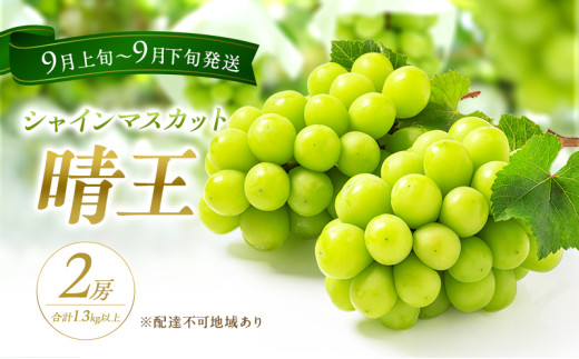 yRԔ֎szԂǂ 2026N s\ VC }XJbg  2[ v1.3kgȏ 2026N9{`9{ uhE  R Ԕ֎sY Y t[c ʕ Mtg ԍs 햳