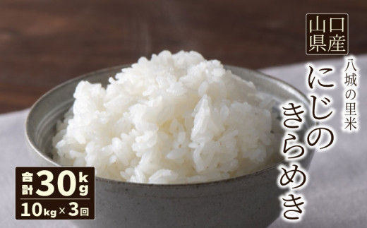 yR֎szy 3zɂ̂߂  10kg v30kg