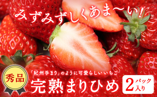 和歌山県産 秀品 完熟まりひめ1箱 (2パック入り) 株式会社松源《2026年