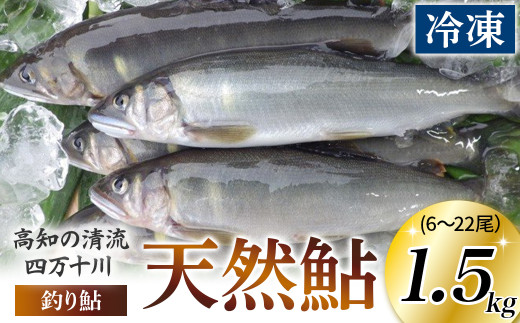 四万十川上流の天然鮎 釣り鮎 1.5kg【冷凍6～22尾】【着日指定不可