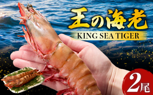 数量限定！特別価格】〈高級〉KING SEA TIGER 王の海老2尾・K305-12