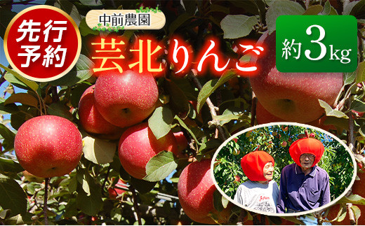 yLkLz Y 3kg _ƒ O_ |k ь VimXC[g ܖ WiS[h ӂ_NA099_001