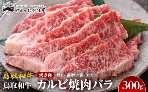 y挧khz700.aJrēoi300gjyY a a ē  ɂ 挧 kh  lCz