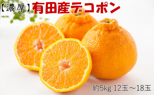 ya̎RxczmZnIBLcY̑ʃfR|5kg(12ʁ`18ʓEGȏ) 2026NP{菇mTM25n