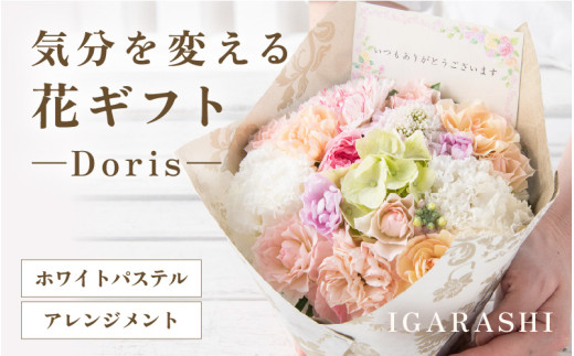 y䌧szCςԃMtg Doris(AWgEzCgpXe) [aw062-b002_07]