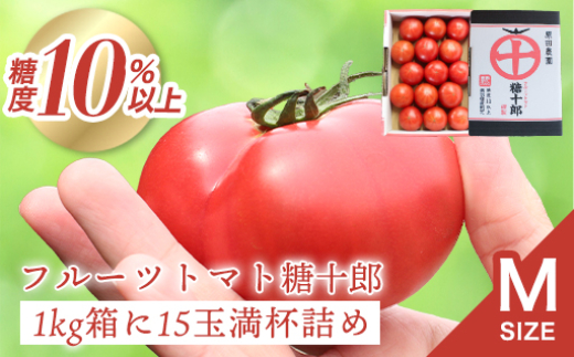 yQn݂ǂszt[cg}g\YiMTCYj