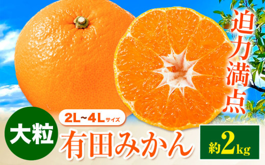 ya̎Rz͖_I嗱 Lc݂ 2L-4LTCY 2kg Lc}VFs11{-1{oׁta̎R  ݂ 嗱 Lc݂ B݂ k t[c ~J 