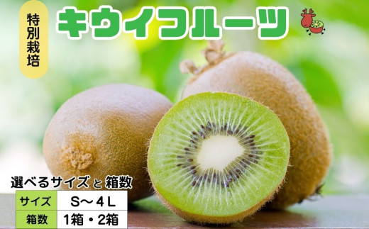 yޗǌFɎsz12ȍ~IׂTCYEv~A LEC t[c S~4LTCY Ǐn ^ ӂ邳Ɣ[ LEC LECt[c Mtg h{ ʕ yY w엿