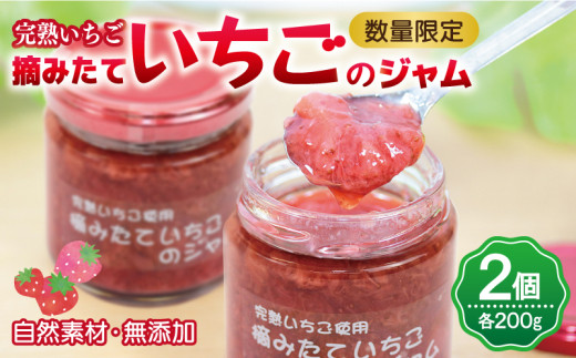 【大阪府泉佐野市】【先行予約】完熟朝摘みいちごのジャム【苺 無添加 自然素材 フルーツ イチゴ 高評価 数量限定】