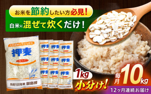 全12回定期便】 押麦「長崎100年麦 御島裸」1kg×10袋 計10kg 全12回定期便】 押麦「長崎100年麦 御島裸」1kg×10袋 計10kg
