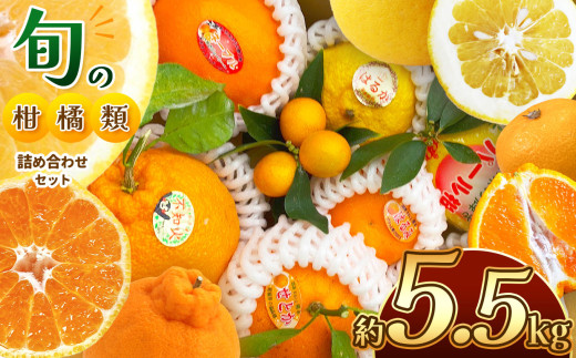 C107 バラのミカン畑 フルセット(新刊セット・マグカップ・タペストリー） sd1_d17c5e56c7106bfc49e1ee525d