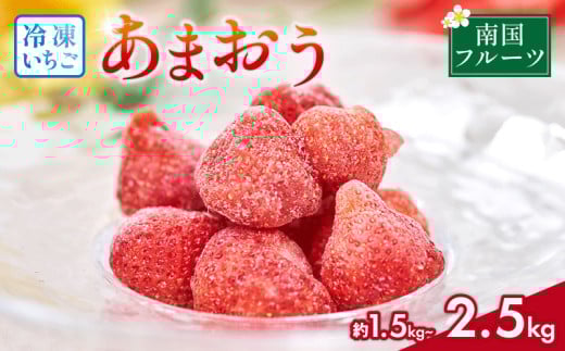 y蒬zY Ⓚ ܂ 1.5kg 2.5kg 2026N4ȍ~ {   ܂ Ⓚ t[c ʕ  XC[c Mtg  蒬