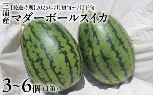 y_ސ쌧OYsz}_[{[XCJ@M001-002