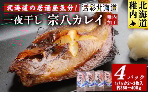 �y�k�C���t���s�z�� �k�C�� �� ������ �C��!�� ��銱�� �@�� �J���C 4�p�b�N�Z�b�g �t��