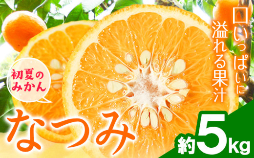 【和歌山県日高川町】<先行予約>初夏のみかん なつみ 約 5kg 株式会社 魚鶴商店《2026年4中旬-4月下旬頃出荷》 和歌山県 日高川町 みかん なつみ 南津海 柑橘 果物 フルーツ 送料無料