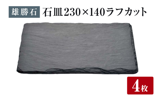 y{錧ΊszyY΁z ΎM 230×140 tJbg Sg VR  ɒB j _ Ί {