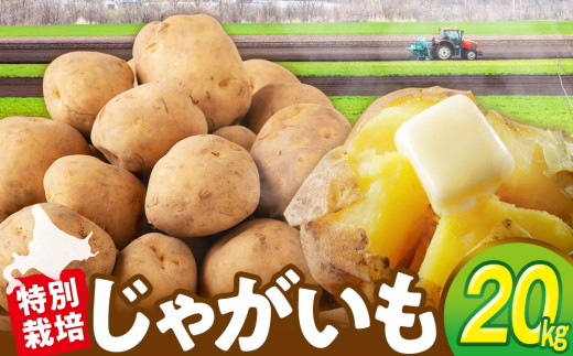 先行受付】R8年産 特別栽培じゃがいも（男爵） 20kg | 北海道津別町