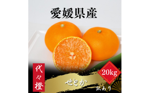 【愛媛県八幡浜市】<最高の旨みと香りが詰まった>代々橙せとか<訳あり>20kg<H83-42>【1623759】