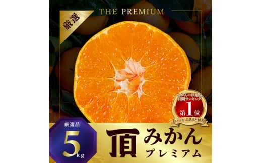 pd_a1e969c22aace899a6c9a287745 pd_a1e969c22aace899a6c9a287745