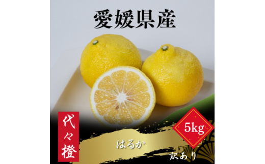 yQlszu₩ȊÂ󂠂聄͂邩 5kgC83-19y1549109z