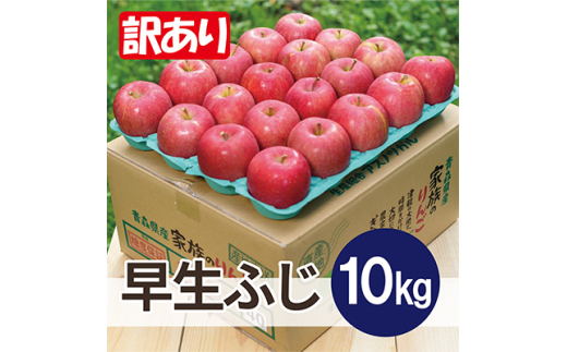 yXXsz2025N11\聄ϓx13xȏ! ӂ 10kg 󂠂y1607523z