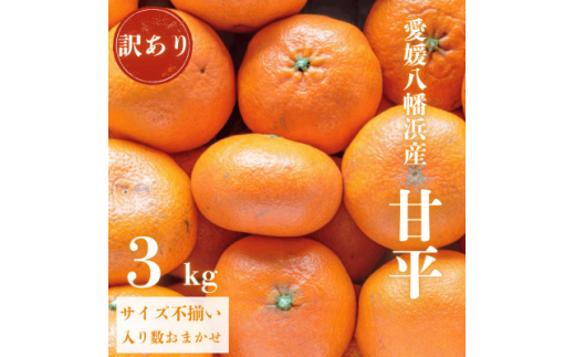 愛媛が誇る 高級みかん 希少品種 / 訳あり 甘平 (かんぺい) 3kg