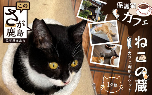 保護猫カフェねこの蔵 カフェ利用チケット｜保護猫カフェ 猫 古民家