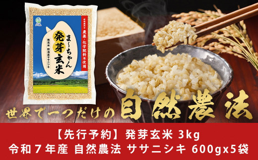 ファッションデザイナー 先行予約 自然農法 発芽玄米 無農薬 無肥料 ササニシキ 3kg 米・雑穀・粉類