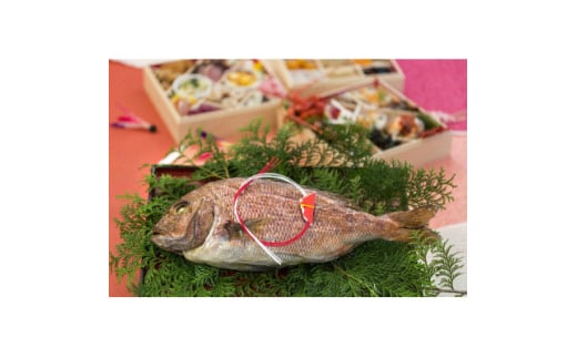 yOdz߂łā@1y1544344z