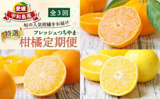 贈答用 秀品 柑橘定期便 全 4回 みかん定期便 先行予約 愛果28号