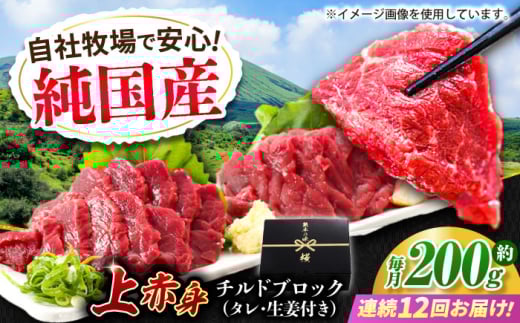 【熊本県合志市】【全12回定期便】『純国産』熊本の味 上赤身 馬刺し 約200g ブロック チルド 冷蔵 タレ付き【有限会社 九州食肉産業】 馬刺し 馬肉 桜肉 馬 うま ウマ ヘルシー 国産 新鮮 専