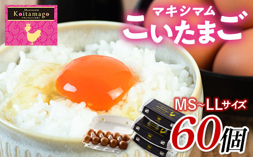 は自分にプチご褒美を TVで話題沸騰！】とにかく黄身が濃いたまご「マキシマムこい ヨガ・ピラティス