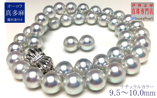 老舗の真珠専門店・オーロラ真多麻鑑別書付き アコヤ真珠ネックレス