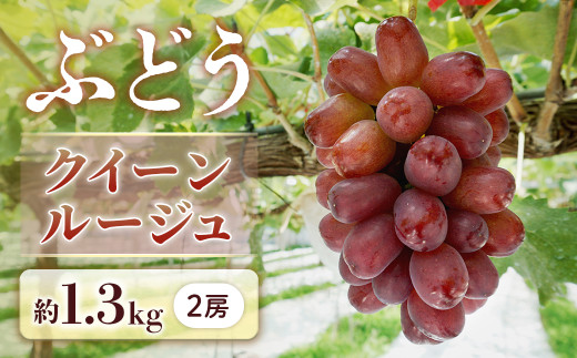 y쌧Luzy2026Ns\zԂǂ NC[[W1.3sy2[z2026N9{`9{\聦