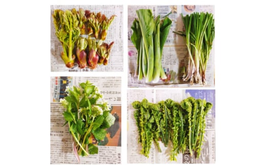 yX\acszꂩ̎d聄X\acsY R؃Zbg[2`5(ނ܂)]@1y1597928z