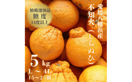 yQlszx14.0ȏ_1.4ȉ_Iʕi QY sm (ʂ) 5kgD20-61y1620228z