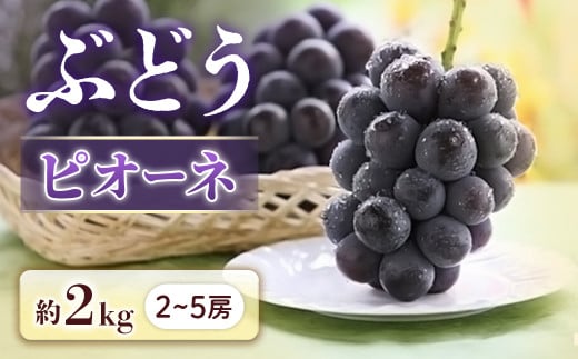 y쌧Luzy2026Ns\zԂǂ sI[l 2kgy2`5[z2026N9{`9{\聦