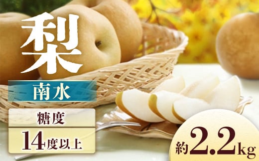 【長野県豊丘村】【2026年発送先行予約】 梨 南水 約2.2s ※2026年9月中旬〜発送予定※