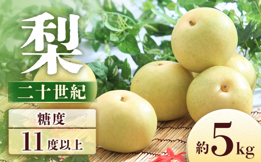 y쌧Luzy2026Ns\z@\I 5kgy8`16ʁz2026N9\聦