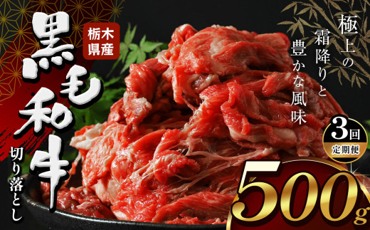 yȖ،szy3zȖ،Y јa ؂藎Ƃ  500g  |  a  ē Ƃ낯 ~ Ԑg ؂藎Ƃ ӂ邳 [ C`IV  Ȗ، s s
