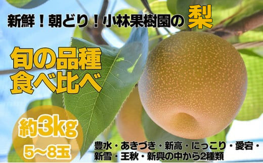 sd1_00fe6270c774b11b68c304ca9e