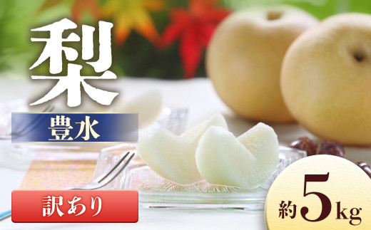 梨 豊水梨 家庭用 61 新潟県産 梨