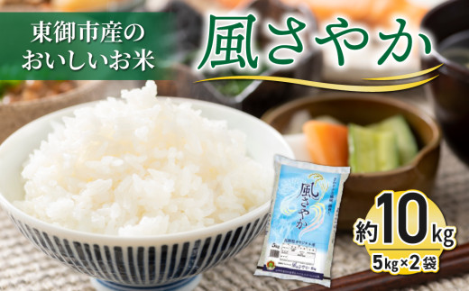 R7年産】東御市産おいしいお米「風さやか」約10kg｜国産 長野県産 お米