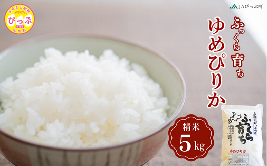 【北海道産・新米】ゆめぴりか　精米 令和7年産 新米 ゆめぴりか 精米 5kg【JAぴっぷ町】米 お米 北海道産